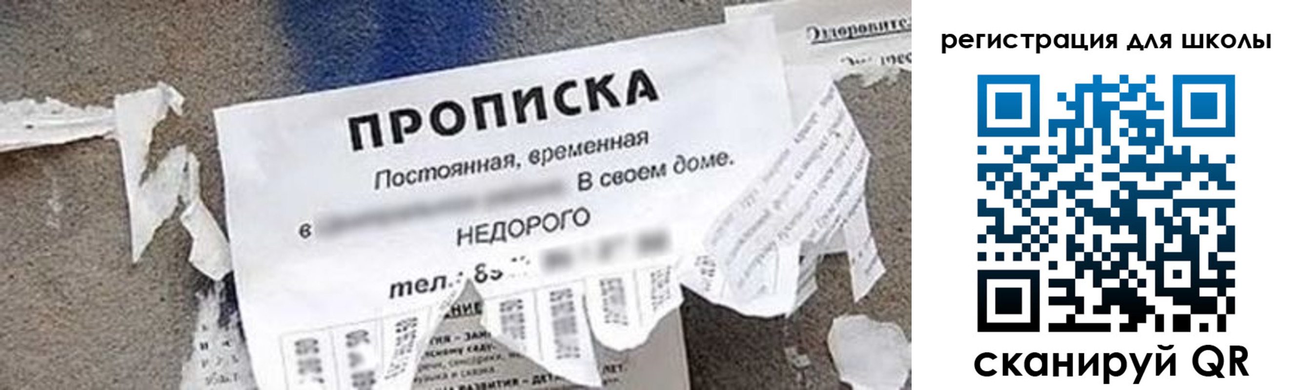 временная регистрация поиск в Луге